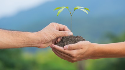 Trust & Foundation Service 1